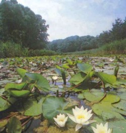 03.jpg
